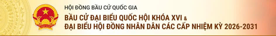 Bầu cử